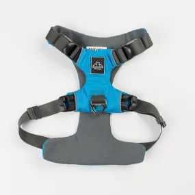 Millvue Ocean Blue EZ Fit™ Dog Harness - Wholesale