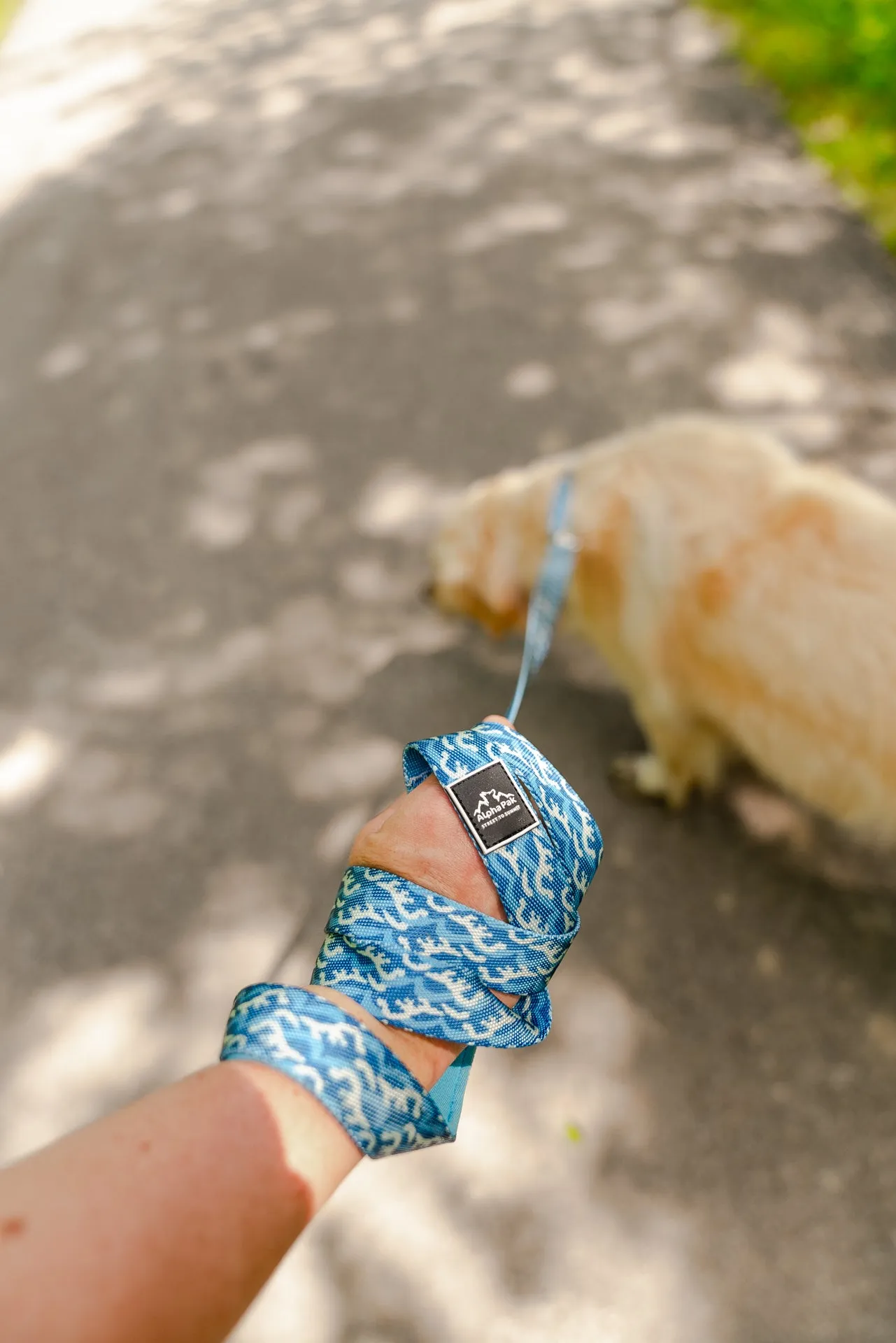 Tidal Pattern Flat Dog Leash - Wholesale